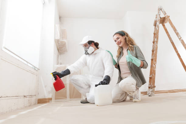 Mold Remediation for Vacation Homes in Burkburnett, TX