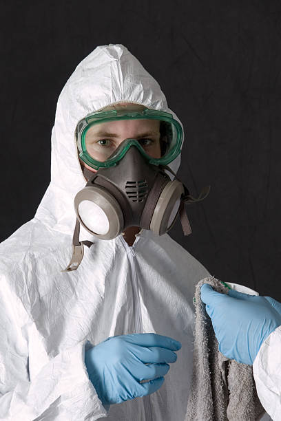 Biohazard Mold Removal in Burkburnett, TX